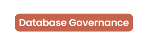 Database Governance